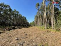 Prodej lesa, Boršov nad Vltavou, 16080 m2