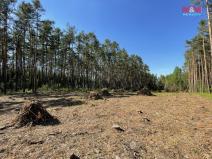 Prodej lesa, Boršov nad Vltavou, 16080 m2