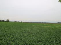 Prodej zemědělské půdy, Lanškroun, 107806 m2
