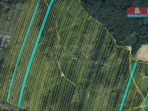 Prodej lesa, Nová Hradečná, 28654 m2