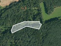Prodej lesa, Závraty, 6841 m2