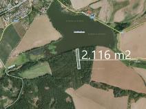 Prodej lesa, Otěšice, 2116 m2