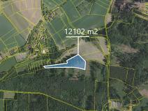 Prodej lesa, Čechtice, 12102 m2