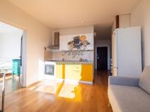 Prodej bytu 1+1, Brno, 35 m2