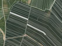 Prodej zemědělské půdy, Koryčany, 4164 m2