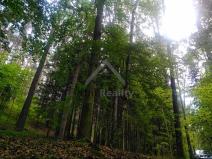 Prodej lesa, Čížkrajice, 32523 m2