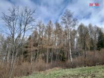 Prodej lesa, Zálezly - Setěchovice, 5083 m2