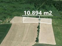 Prodej podílu zemědělské půdy, Lípa, 4085 m2