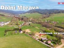 Prodej pozemku pro bydlení, Dolní Morava, 7544 m2