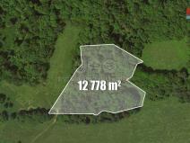 Prodej lesa, Česká Kamenice - Kerhartice, 12778 m2