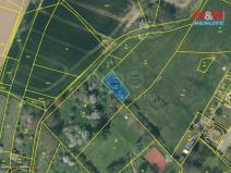 Prodej pozemku pro bydlení, Radenín, 3885 m2