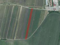 Prodej zemědělské půdy, Hlohovec, 2275 m2