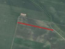 Prodej zemědělské půdy, Terezín, 9391 m2