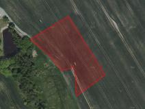 Prodej zemědělské půdy, Zbraslavice, 6231 m2