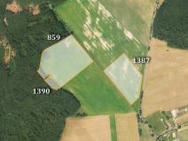 Prodej zemědělské půdy, Bynovec, 28494 m2