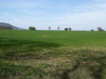 Pronájem zemědělské půdy, Kostomlaty pod Řípem, 1400000 m2