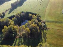 Prodej pozemku, Benešov nad Černou - Klení, 6805 m2