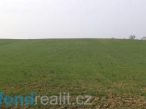 Prodej zemědělské půdy, Jalubí, 4751 m2