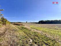 Prodej zemědělské půdy, Česká Skalice, 3591 m2