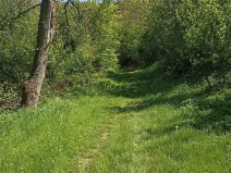 Prodej zahrady, Luhačovice, 2888 m2