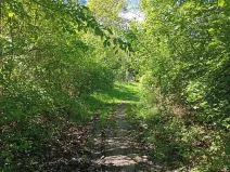 Prodej zahrady, Luhačovice, 2888 m2