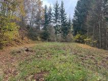 Prodej rodinného domu, Vidochov, 80 m2