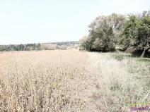 Prodej pole, Dvůr Králové nad Labem, Do Polí, 27614 m2