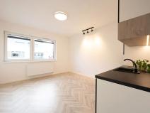 Pronájem bytu 1+kk, Brno, Cejl, 26 m2