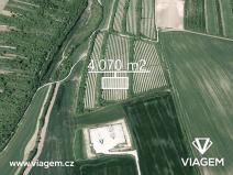 Prodej podílu sadu/vinice, Žarošice, 1017 m2