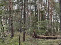 Prodej pozemku, Slavče, 13051 m2