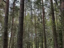 Prodej pozemku, Slavče, 13051 m2