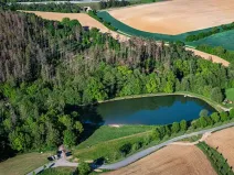 Prodej pozemku pro bydlení, Říčky, 1186 m2