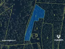 Prodej podílu lesa, Morávka, 1550 m2