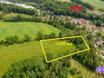 Prodej louky, Ostrov - Dolní Žďár, 4185 m2