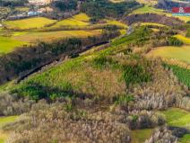 Prodej lesa, Dolní Třebonín - Štěkře, 5767 m2