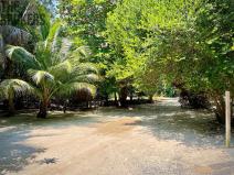 Prodej rodinného domu, Coxen Hole, Roatán, Honduras, 1022 m2