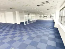 Pronájem kanceláře, Brno, Holandská, 1200 m2