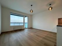 Pronájem bytu 1+kk, Praha - Hloubětín, Kolbenova, 30 m2