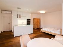 Pronájem bytu 1+kk, Brno, Kobližná, 53 m2