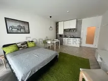 Pronájem bytu 1+kk, Brno, Cejl, 39 m2