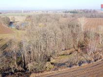 Prodej lesa, Neplachovice, 2716 m2