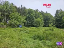 Prodej louky, Hynčina, 922 m2