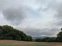 Prodej lesa, Kozly, 6000 m2