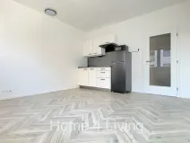 Pronájem bytu 1+kk, Brno, Cejl, 26 m2