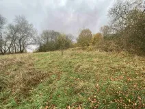 Dražba louky, Děčín, 4431 m2