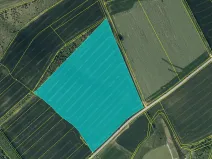 Prodej pole, Zlobice, 85800 m2