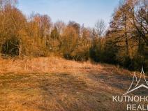Prodej pozemku pro bydlení, Jedlá, 2598 m2