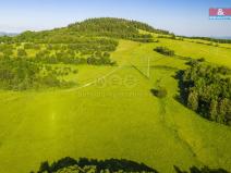 Prodej louky, Dlouhý Most, 7096 m2