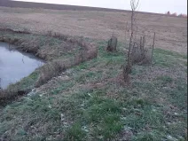 Prodej lesa, Želiv, 542 m2