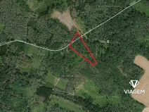 Prodej podílu lesa, Račice, 2502 m2